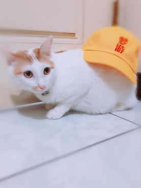 Bear Liuさんのコーディネート