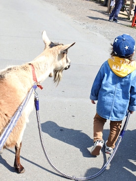 7◡̈さんのコーディネート