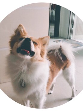 仅此一枚さんのコーディネート