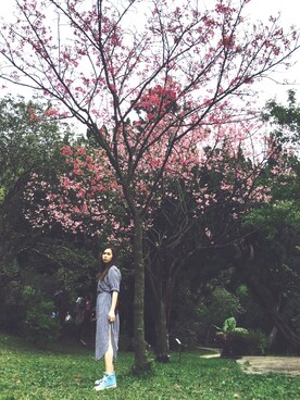 「Major made（Major made）のアイテム」を使った、YsLさん（レディース・160cm）の春コーディネート