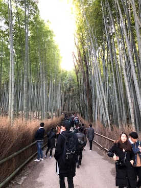 与一さんのコーディネート