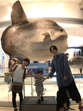 与一さんのコーディネート