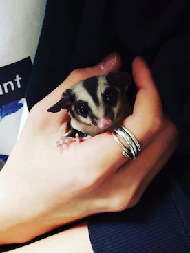 Hiroさんのコーディネート