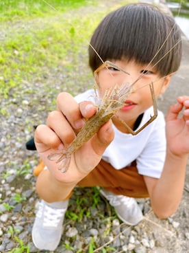 「UNIQLO（ユニクロ）のアイテム（T Shirts、ホワイト系）」を使った、蒼虫さん（キッズ・140cm）の夏コーディネート