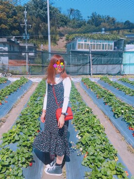 アィーリンさんのコーディネート