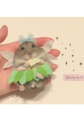 ケニー  (kenny)さんのコーディネート