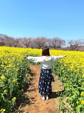 「菜の花」｜ayaさん（レディース・147cm）の春コーディネート