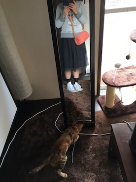 taeさんのコーディネート