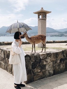 7382さんのコーディネート