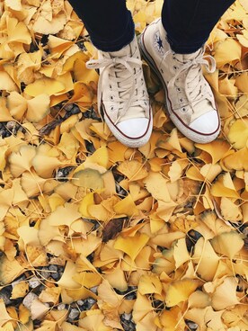 medさんのコーディネート