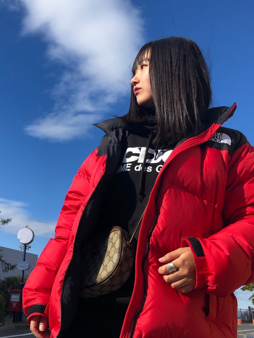 THE NORTH FACEのダウンジャケット/コート（レッド系）を使った人気