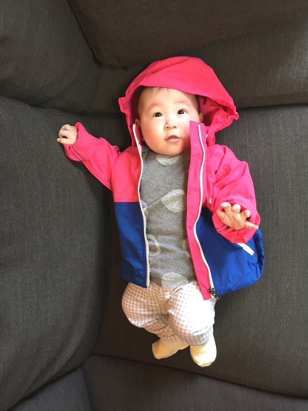 「ベビーコーデ、春コーデ、おんなのこ、おちびさん、ノースフェイス、ピンク、0歳6ヶ月」｜「THE NORTH FACEのTHE NORTH FACE/Compact Jacket（マウンテンパーカー、ピンク系）」を使った、chunさん（キッズ・60cm）の春コーディネートの1枚目の写真