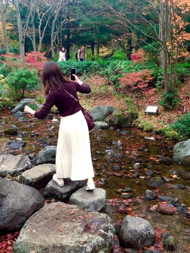 「LOEWE（ロエベ）のアイテム（ショルダーバッグ、ブラウン系）」を使った、ひなこさん（レディース）の秋コーディネート