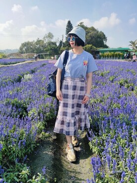 あんさんのコーディネート