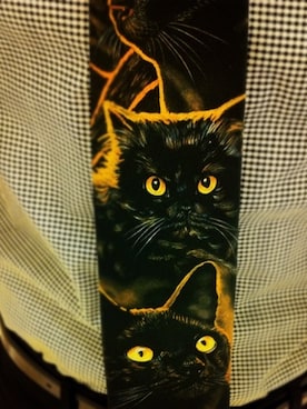 THIS IS OLDさんのコーディネート