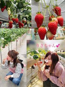 hito さん（レディース・164cm）の春コーディネート