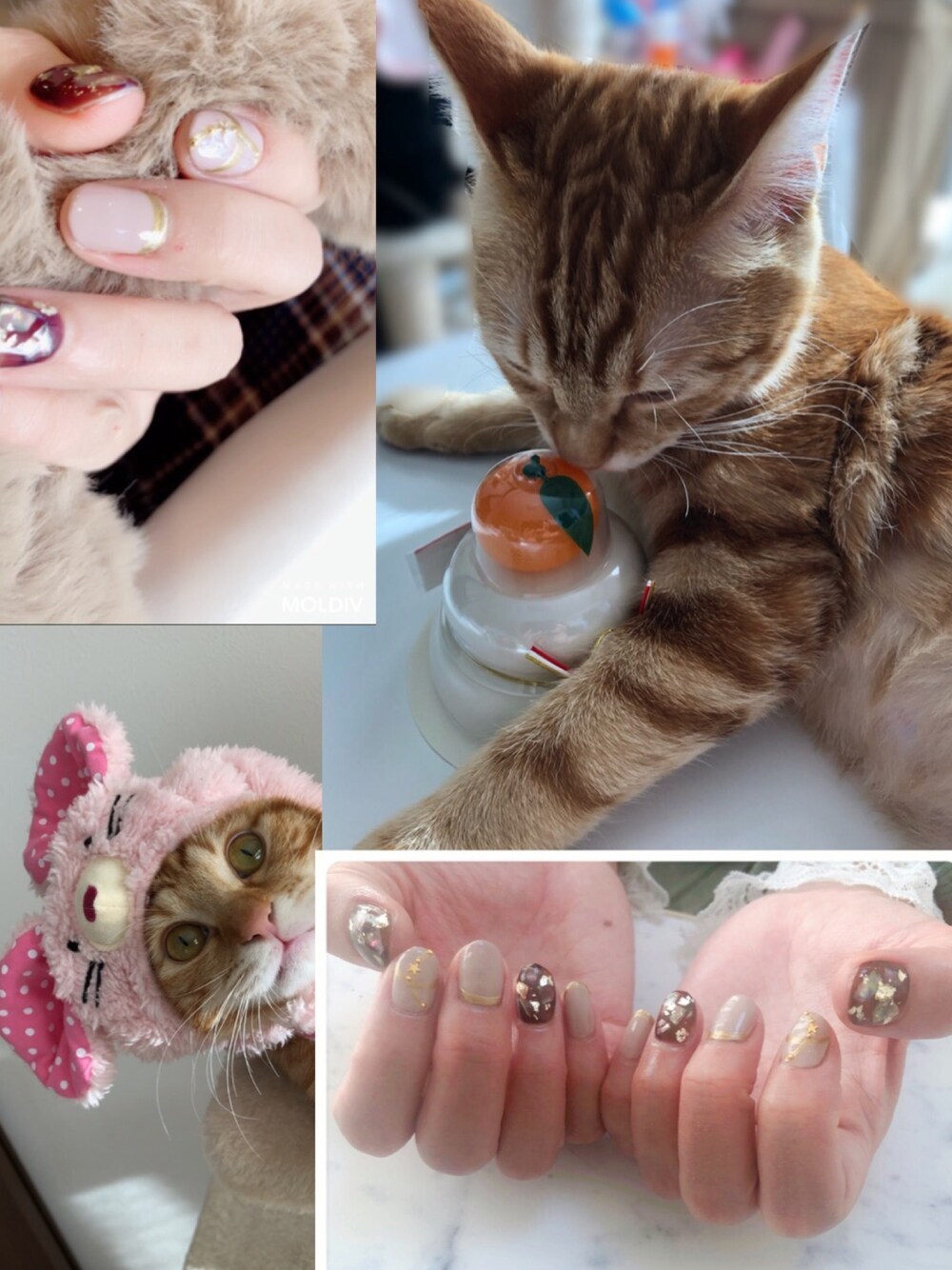「愛猫、子年、ジェルネイル、大人女子、鏡餅」｜「ジェルネイル❤️✨のアイテム（マニキュア/ジェルネイル、ブラウン系）」を使った、hito さん（レディース・164cm）の冬コーディネートの1枚目の写真