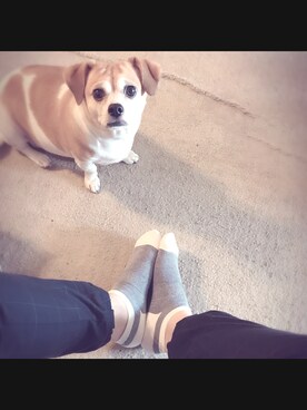 ShoSeoさんのコーディネート