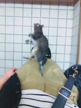 natsuさんのコーディネート