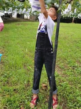 忘羨さんのコーディネート