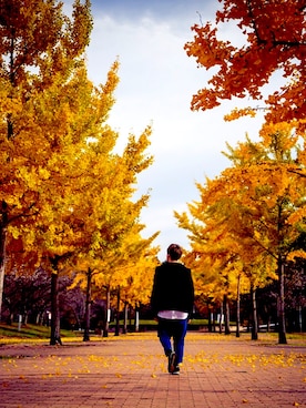 tongpoo30さんのコーディネート