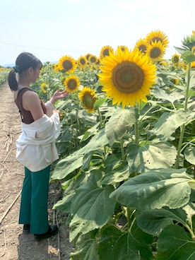 「ひまわり畑」｜「アイテム（スラックス）」を使った、Riiiiiさん（レディース・156cm）の夏コーディネート