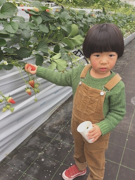 「GLOBAL WORK（グローバルワーク）のアイテム（オールインワン・サロペット）」を使った、sun☆cherryさん（キッズ・110cm）の冬コーディネート