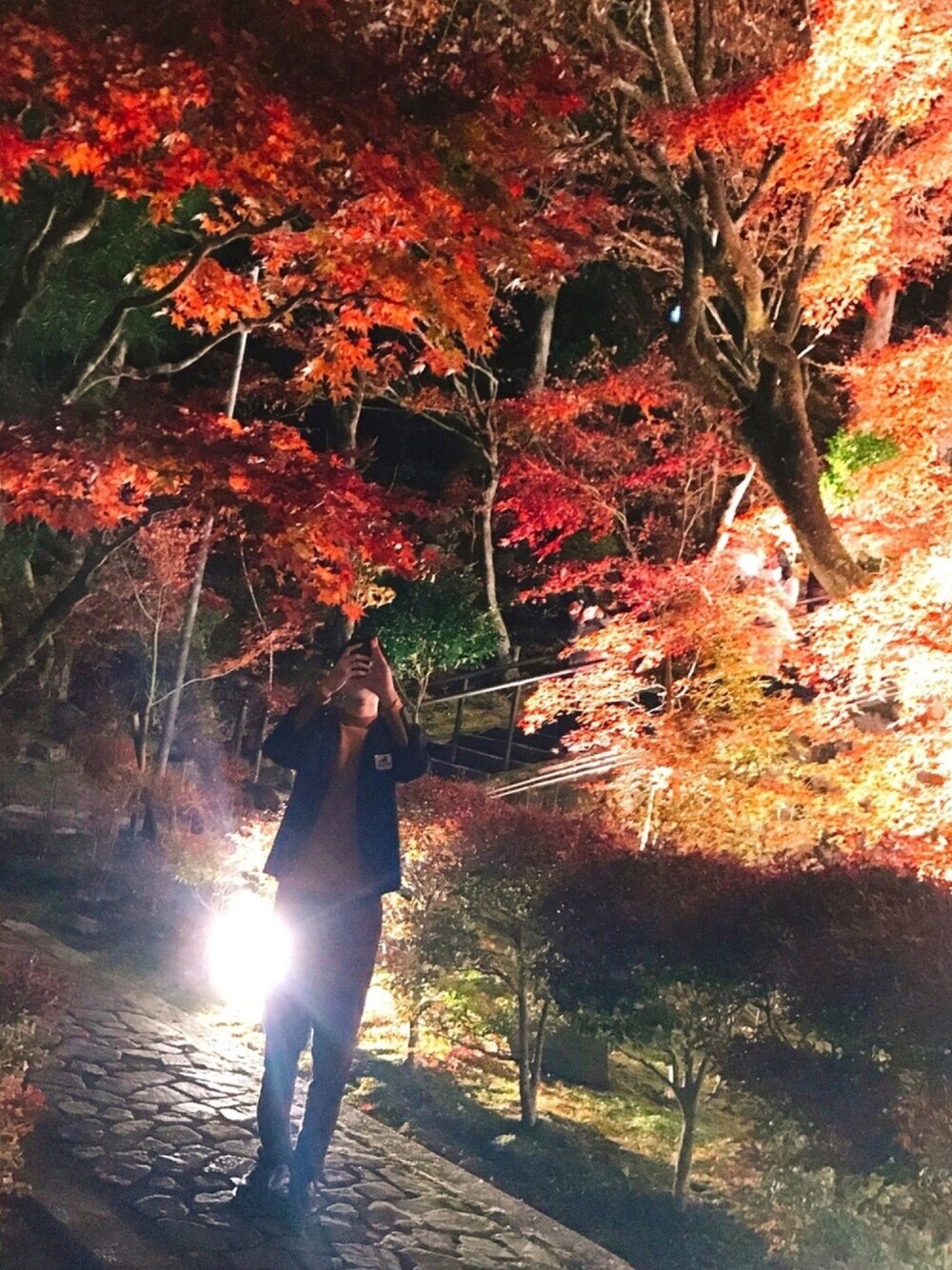 「紅葉、清水寺、Daniel Wellington、おしゃれさんと繋がりたい、いいね、save、フォローお願いします🤑、こうようをみにいこうよう。、LACOSTE、Dr.Martens、UNIQLO、LIDnM」｜「UNIQLOのミドルゲージクルーネックセーター（長袖）（ニット/セーター、ベージュ系）」を使った、一期一会さん【背景も楽しめる】さん（メンズ・178cm）の冬コーディネートの1枚目の写真