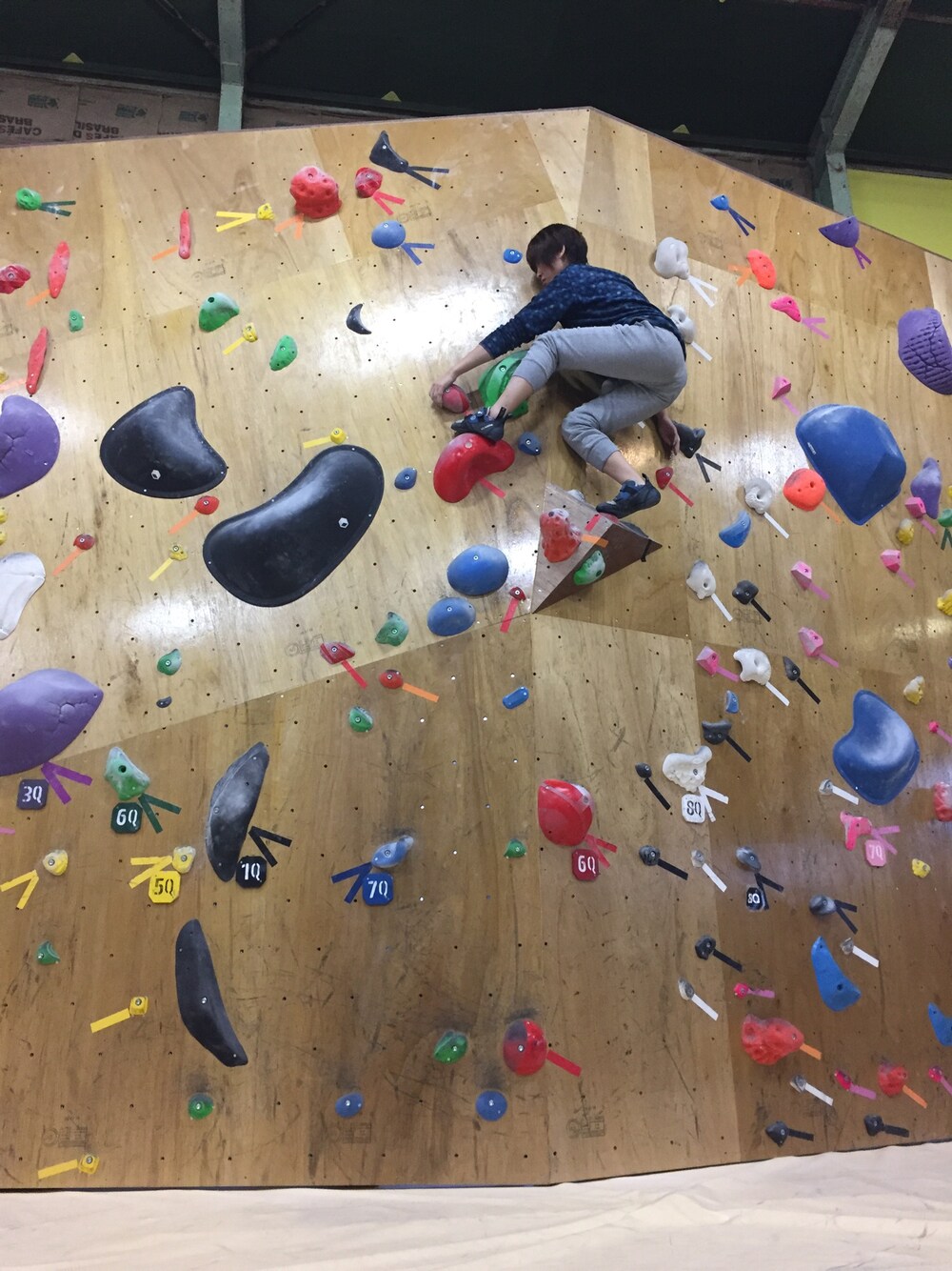 ブルー系のその他トップス、グレー系のその他パンツ、ブルー系のその他を着用したレディースの冬コーディネートの1枚目の写真