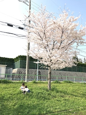 Nene★さんのコーディネート