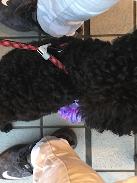 MOBSTARさんのコーディネート