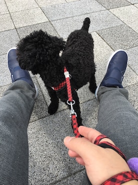 MOBSTARさんのコーディネート