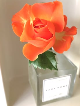 「flower」｜「アイテム（その他）」を使った、as_______uさん（レディース・163cm）の春コーディネート