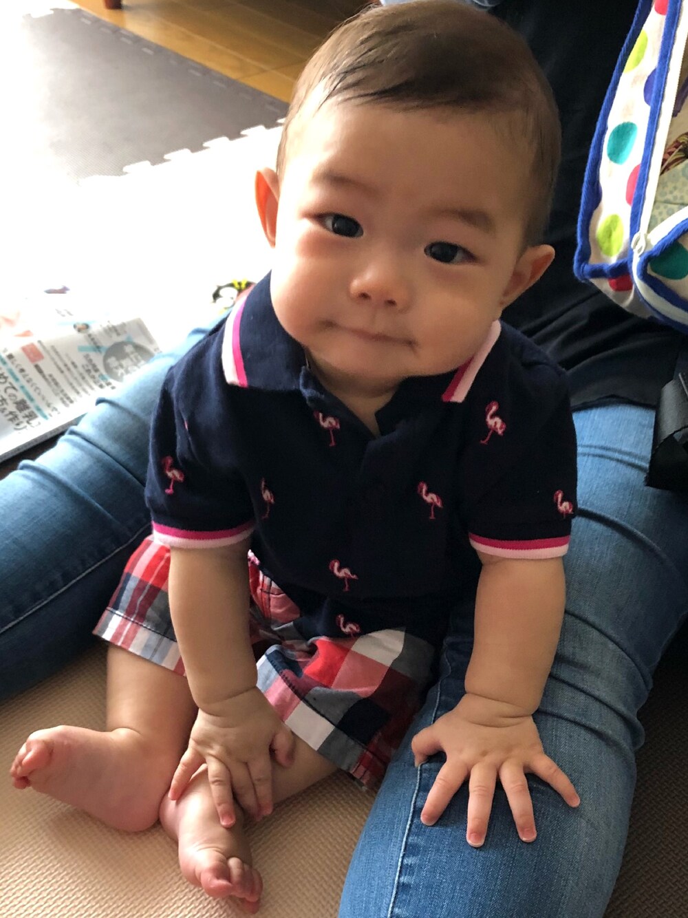 「男の子、赤ちゃん、ポロシャツ、チェックパンツ、フラミンゴ、トミーヒルフィガー」｜「nextのアイテム（ポロシャツ、ブラック系）」を使った、りょーたんさん（キッズ・60cm）の夏コーディネートの1枚目の写真