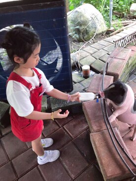 Sofiaさんのコーディネート