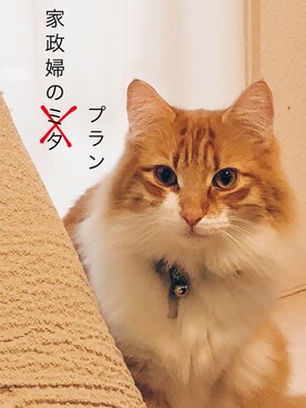 「にゃんこ」｜nayumiさん（レディース・157cm）の秋コーディネート