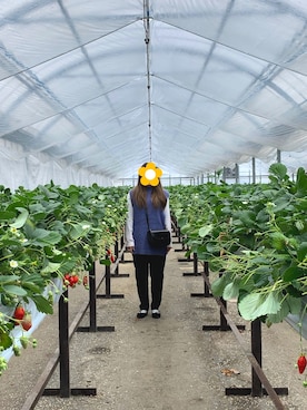 ma____さんのコーディネート