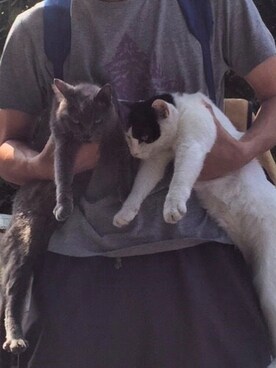 モアレさんのコーディネート