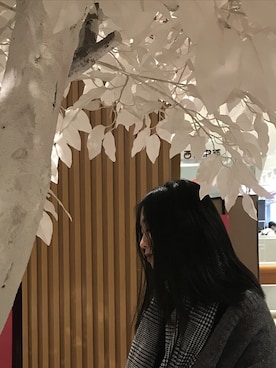 仲崇宇儿さんのコーディネート