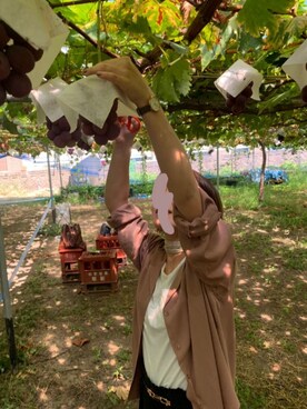 てぃかさんのコーディネート