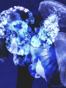 WENさんのコーディネート