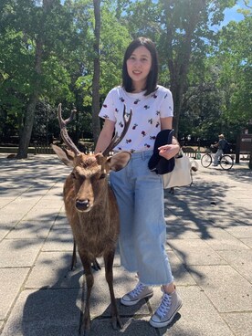 ZZさんのコーディネート