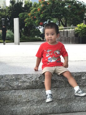 挖哇哈哈哈さんのコーディネート