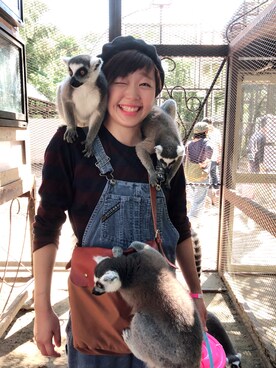 コロッケさんのコーディネート