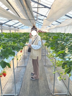 meiさんのコーディネート