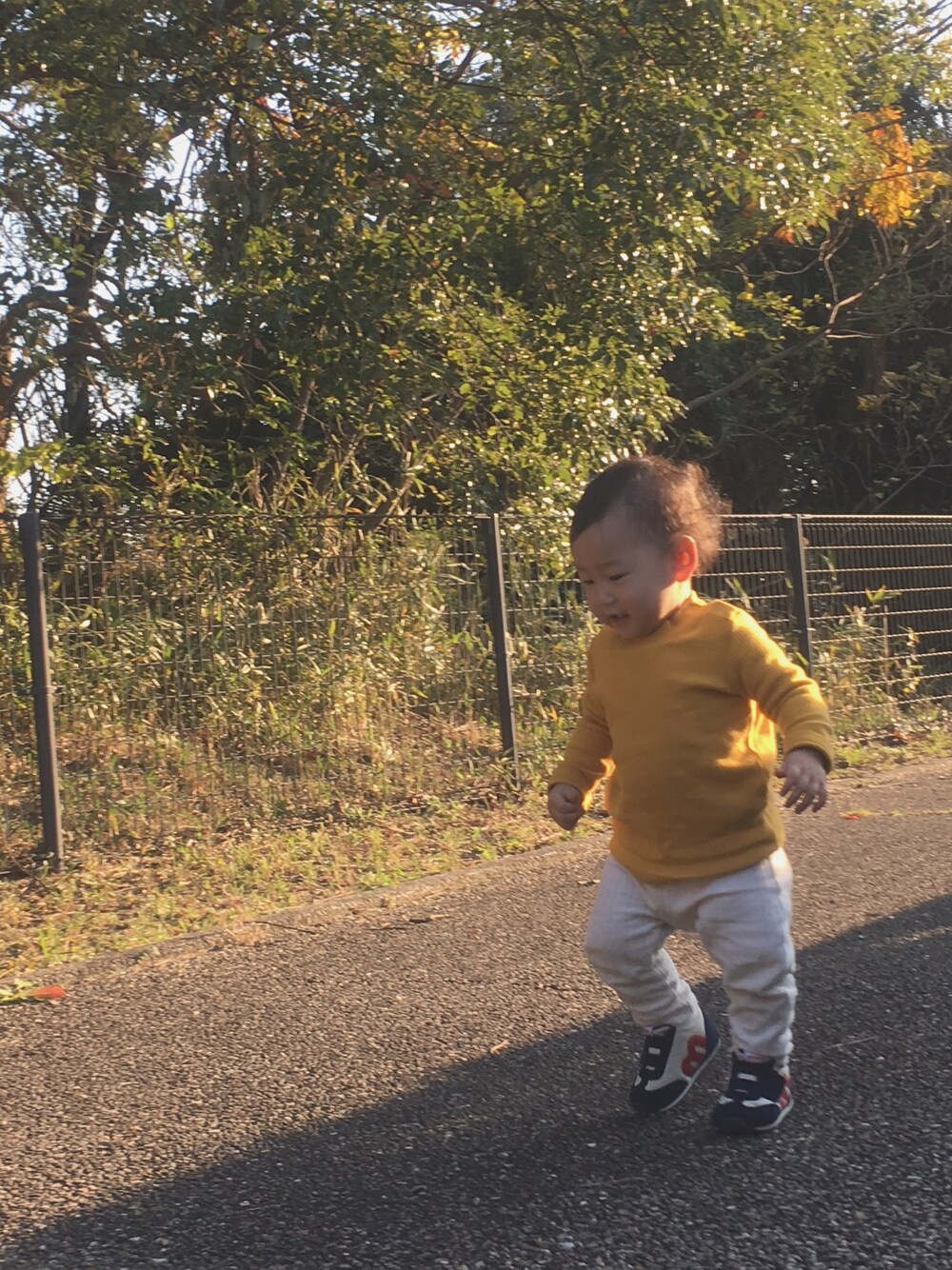 「1歳0ヶ月、女の子、カジュアル、お古」｜「UNIQLOのアイテム（Tシャツ/カットソー、イエロー系）」を使った、ayk☺︎さん（キッズ・80cm）の秋コーディネートの1枚目の写真