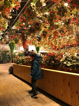 桜ん坊さんのコーディネート