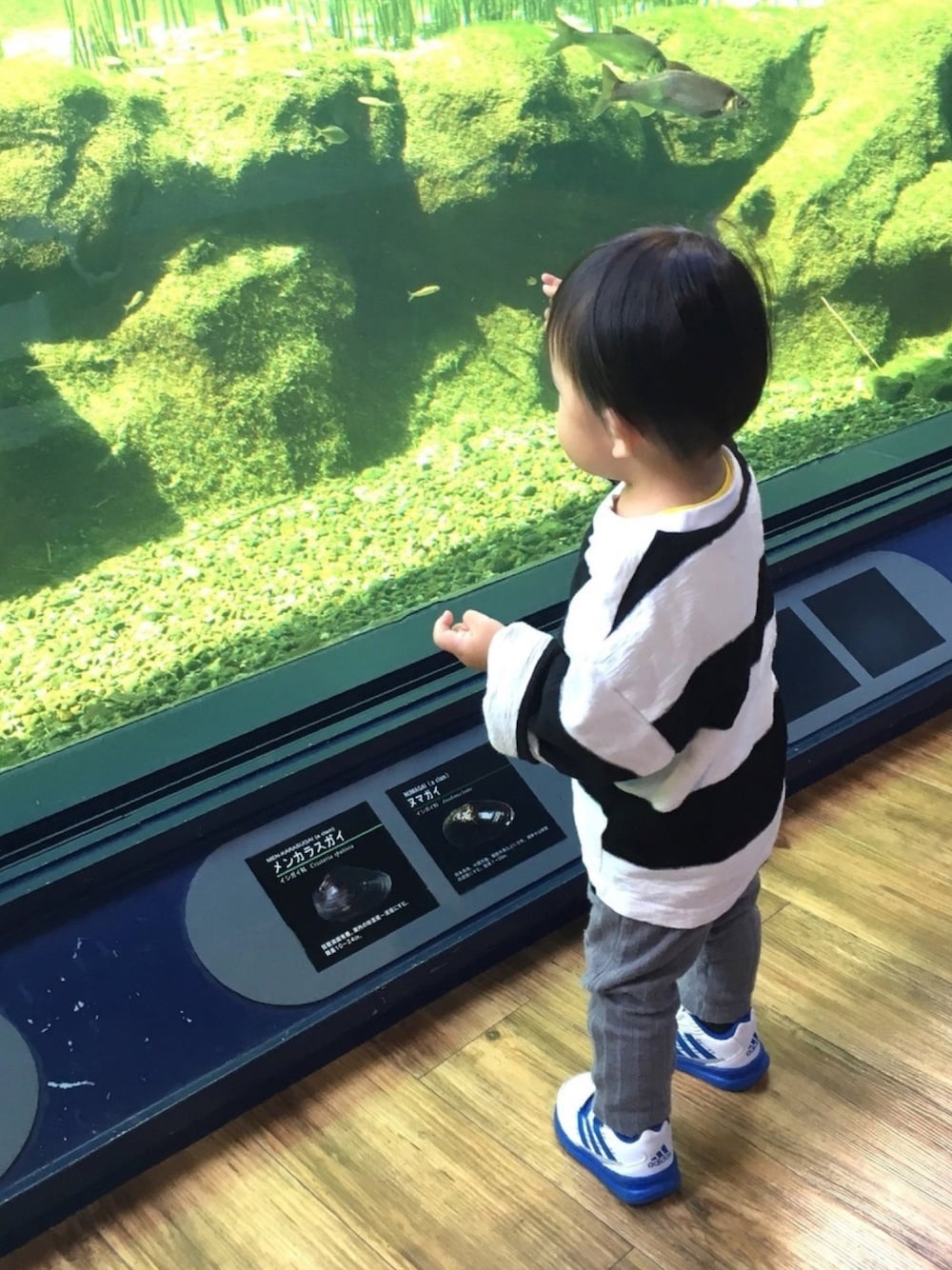 「FITHのアイテム（その他パンツ、グレー系）」を使った、TSUBASAさん（キッズ・80cm）の秋コーディネートの1枚目の写真