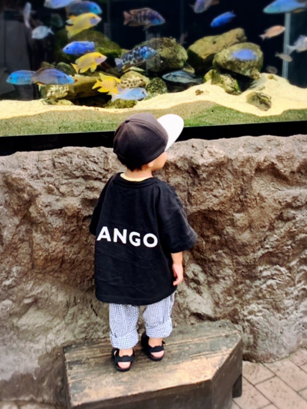 「FREAK'S STOREのWEB限定 KANGOL×FREAK'S STORE/カンゴール 別注KIDS ビッグシルエット バックプリント 半袖Tシャツ（Tシャツ/カットソー、ブラック系）」を使った、TSUBASAさん（キッズ・74cm）の夏コーディネートの1枚目の写真
