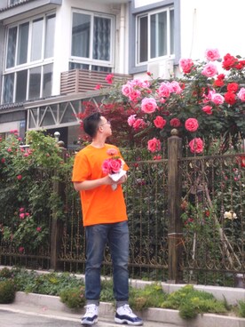 Franz_21さんのコーディネート